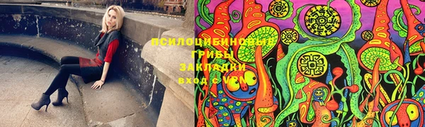 apvp Волосово
