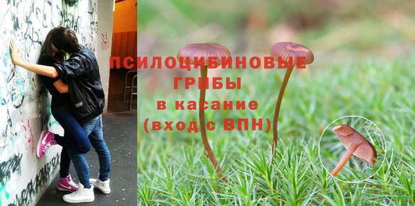 прущий лед Володарск