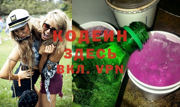 spice Сясьстрой