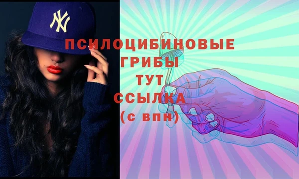 Альфа ПВП Тавда