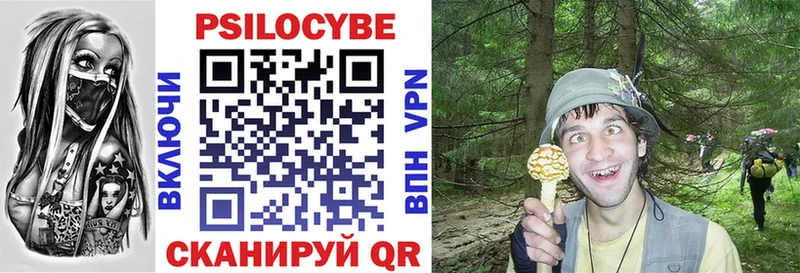 Псилоцибиновые грибы прущие грибы нарко площадка клад Верхний Уфалей МЕГА ТОР